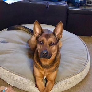 Meet your Posher, Robert